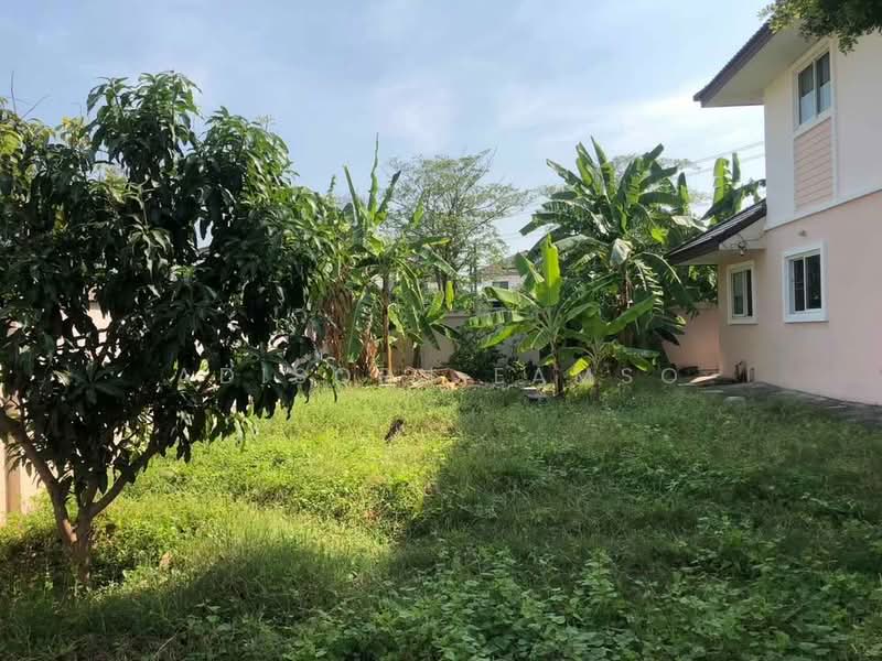 undefined, กรุงเทพ, ดอกไม้, ประเวศ, กรุงเทพ, 100 ตร.ม., บ้านเดี่ยว ขาย, โดย Adisorn Eamso, 500376378 - DDproperty.com