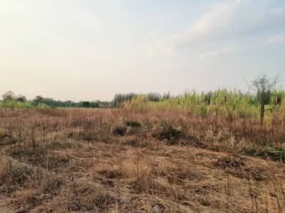 ขาย - ที่ดินสระโบสถ์ ลพบุรี, ลพบุรี