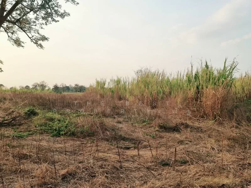 ที่ดินสระโบสถ์ ลพบุรี, Lop Buri, Niyomchai, Sra Bot, Lop Buri, , 16,000 sqm, Land For Sale, by The Best Property ณัฐ, 500376403 - DDproperty.com