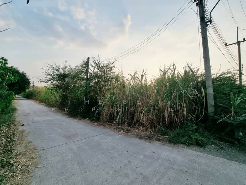 ที่ดินสระโบสถ์ ลพบุรี, Lop Buri, Niyomchai, Sra Bot, Lop Buri, , 16,000 sqm, Land For Sale, by The Best Property ณัฐ, 500376403 - DDproperty.com