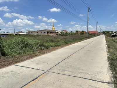 ขาย - ที่ดิน 382 ตรว.ทางเข้าวัดไทรน้อย, นนทบุรี