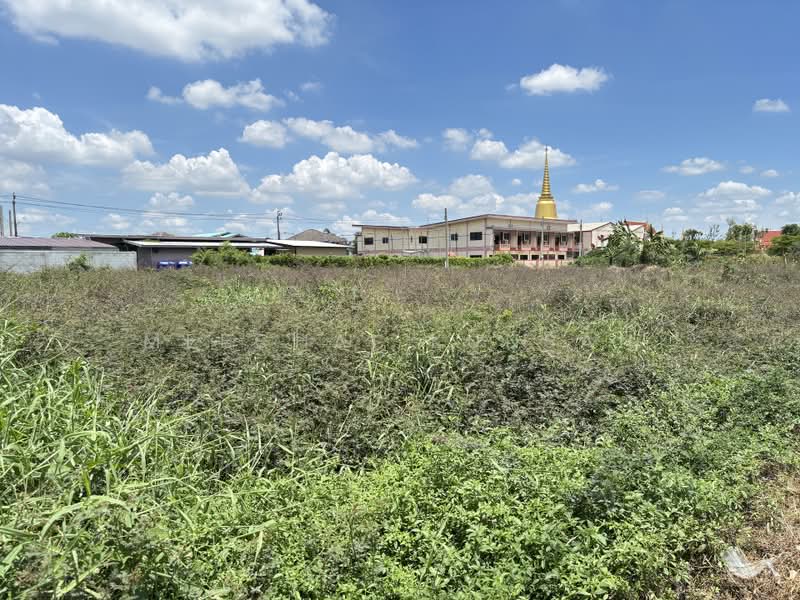 ที่ดิน 382 ตรว.ทางเข้าวัดไทรน้อย, Nonthaburi, Sai Noi, Sai Noi, Nonthaburi, , 1,528 sqm, Land For Sale, by Meechai Kunsan, 500376443 - DDproperty.com
