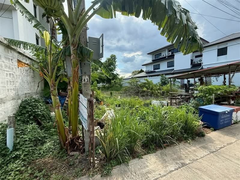 ที่ดินเปล่า 193 ตร.ว. ที่ดินเปล่า ซอยอ่อนนุช53 แยก1-12, Bangkok, ถนนอ่อนนุช, Prawet, Bangkok, , 772 sqm, Land For Sale, by คุณ วนิดา แสนทวีสุข (นิ), 500376444 - DDproperty.com
