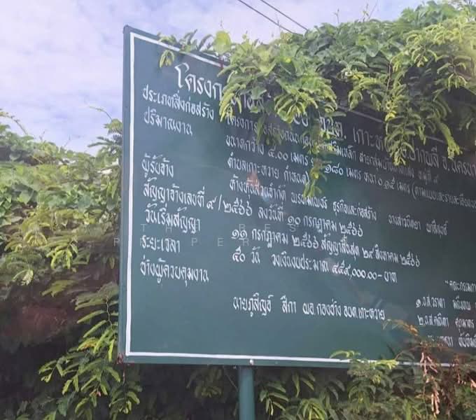 ที่ดินปากพลี นครนายก, Nakhon Nayok, Ko Wai, Pak Phli, Nakhon Nayok, , 11,916 sqm, Land For Sale, by The Best Property พี, 500376461 - DDproperty.com