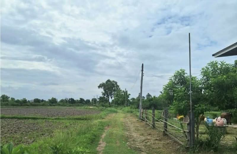 ที่ดินปากพลี นครนายก, นครนายก, เกาะหวาย, ปากพลี, นครนายก, 11,916 ตร.ม., ที่ดิน ขาย, โดย The Best Property พี, 500376461 - DDproperty.com