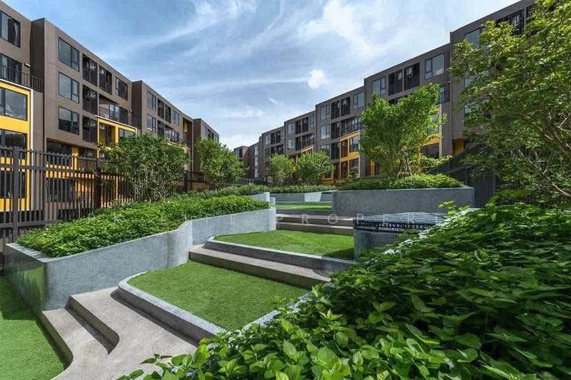 The Base Central, Phuket, Chao Fah Tawan Tok Rd, Wichit, Muang Phuket, Phuket, Studio, 26 sqm, Condo For Rent, by PK LIFE Property, 500376472 - DDproperty.com