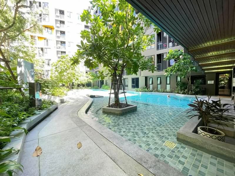 The Base Central, Phuket, Chao Fah Tawan Tok Rd, Wichit, Muang Phuket, Phuket, Studio, 26 sqm, Condo For Rent, by PK LIFE Property, 500376472 - DDproperty.com