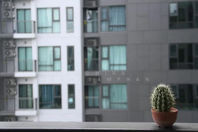 Rhythm Sukhumvit 36-38, Bangkok, 55 Soi Sukhumvit 36, Sukhumvit Road, Phra Kanong, Khlong Toei, Bangkok, 2 Bedrooms, 56 sqm, Condo For Sale, by Suchira Teshasamphan, 500376510 - DDproperty.com