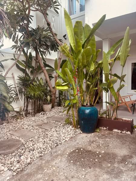 Villa Leela 23 3BR Beachside Home in Bangrak Bo Phut, Surat Thani, Bo Put, Ko Samui, Surat Thani, 3 Bedrooms, 120 sqm, Single Detached House For Rent, by Fazwaz (Thailand) Co., Ltd., 500376518 - DDproperty.com