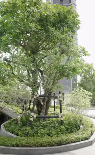 Park Origin Chula-Samyan, Bangkok, Rama 4 Road, Maha Phrutharam, Bang Rak, Bangkok, 1 Bedroom, 35 sqm, Condo For Rent, by Pitchocha Kiatsinpon, 500376520 - DDproperty.com