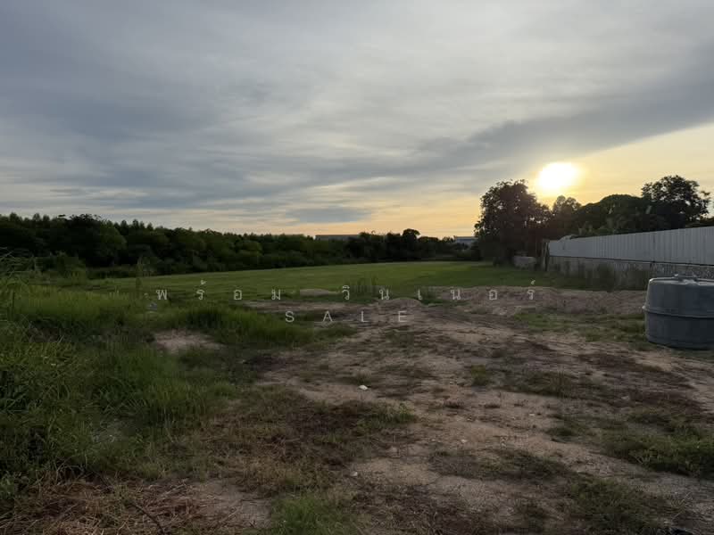 Land for Sale 3221 Sq,Wah (8 Rai) Close to Lam Chabang Port, Chon Buri (Pattaya), Bueng, Si Racha, Chon Buri (Pattaya), , 12,884 sqm, Land For Sale, by พร้อม วินเนอร์ sale, 500376536 - DDproperty.com