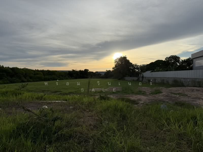 Land for Sale 3221 Sq,Wah (8 Rai) Close to Lam Chabang Port, Chon Buri (Pattaya), Bueng, Si Racha, Chon Buri (Pattaya), , 12,884 sqm, Land For Sale, by พร้อม วินเนอร์ sale, 500376536 - DDproperty.com