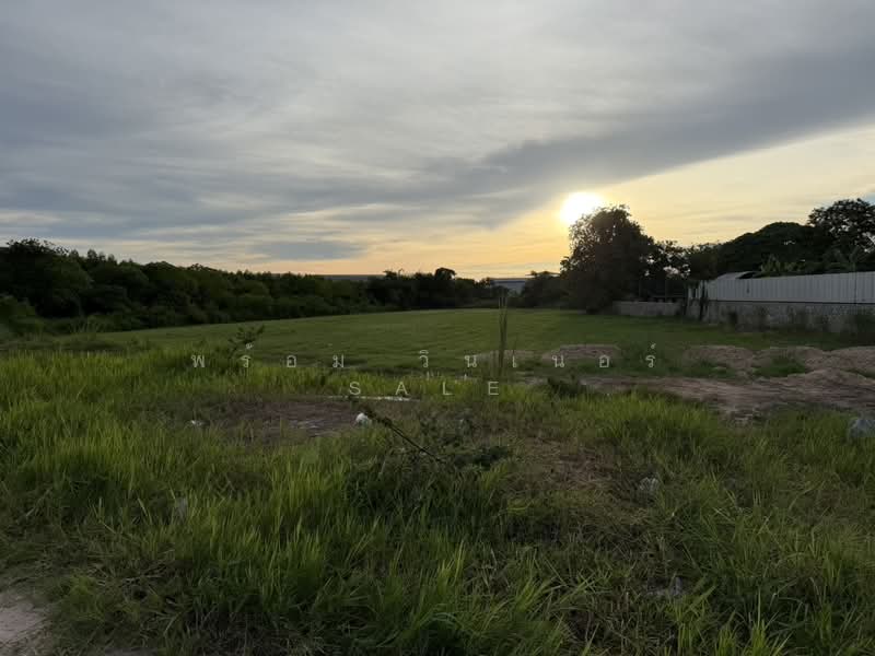 Land for Sale 3221 Sq,Wah (8 Rai) Close to Lam Chabang Port, Chon Buri (Pattaya), Bueng, Si Racha, Chon Buri (Pattaya), , 12,884 sqm, Land For Sale, by พร้อม วินเนอร์ sale, 500376536 - DDproperty.com