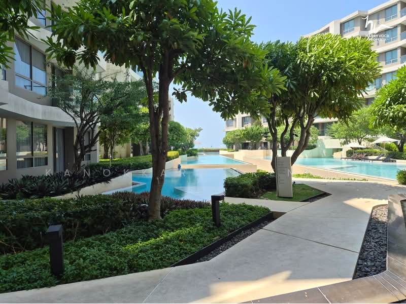 Veranda Residence Hua Hin : วีรันดา เรสซิเดนซ์ หัวหิน, ประจวบคีรีขันธ์, วีรันดา เรสซิเดนซ์, หนองแก, หัวหิน, ประจวบคีรีขันธ์, 45 ตร.ม., คอนโด ขาย, โดย Kanokkarn Brendle, 500376542 - DDproperty.com