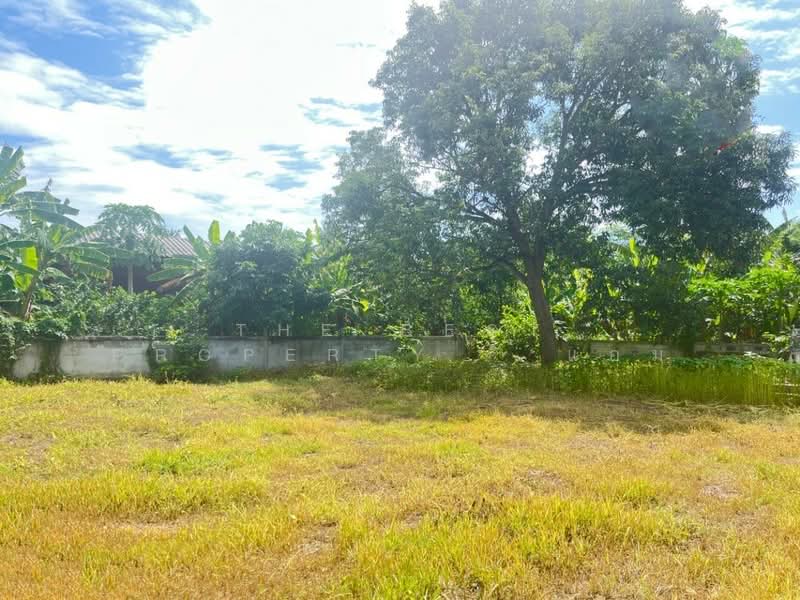 บ้านเดี่ยวโพธาราม ราชบุรี, Ratchaburi, Khlong Takhot, Photharam, Ratchaburi, 1 Bedroom, 150 sqm, Single Detached House For Sale, by The Best Property แอม, 500376546 - DDproperty.com