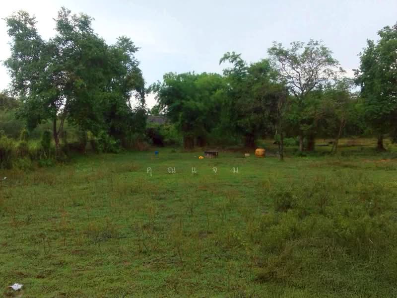 ที่ดินว่างเปล่าบึงกาฬ, Bueng Kan, Non Sombun, Mueang Bueng Kan, Bueng Kan, , 1,592 sqm, Land For Sale, by คุณแจม, 500376553 - DDproperty.com