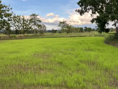 ขาย - ที่ดินโนนสัง หนองบัวลำภู, หนองบัวลำภู