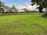 ที่ดินโนนสัง หนองบัวลำภู, หนองบัวลำภู