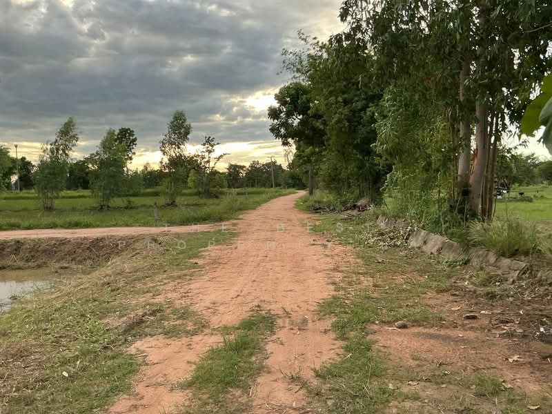 ที่ดินโนนสัง หนองบัวลำภู, Nong Bua Lam Phu, Nong Rua, Non Sang, Nong Bua Lam Phu, , 14,400 sqm, Land For Sale, by The Best Property นก, 500376636 - DDproperty.com