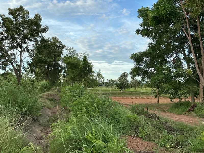 ที่ดินโนนสัง หนองบัวลำภู, Nong Bua Lam Phu, Nong Rua, Non Sang, Nong Bua Lam Phu, , 14,400 sqm, Land For Sale, by The Best Property นก, 500376636 - DDproperty.com