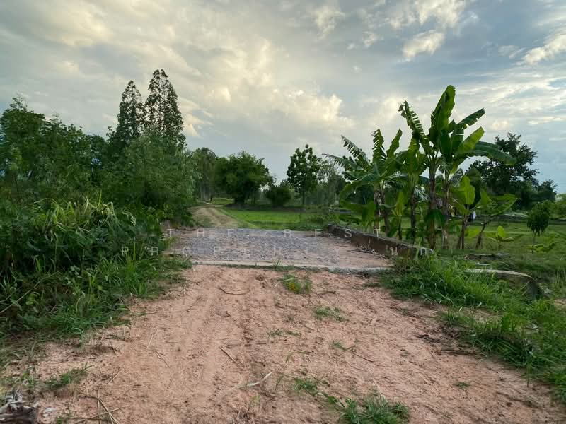 ที่ดินโนนสัง หนองบัวลำภู, Nong Bua Lam Phu, Nong Rua, Non Sang, Nong Bua Lam Phu, , 14,400 sqm, Land For Sale, by The Best Property นก, 500376636 - DDproperty.com