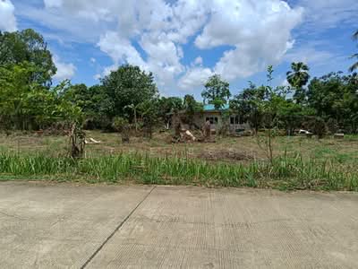ขาย - ที่ดินมะขามสูง พิษณุโลก, พิษณุโลก