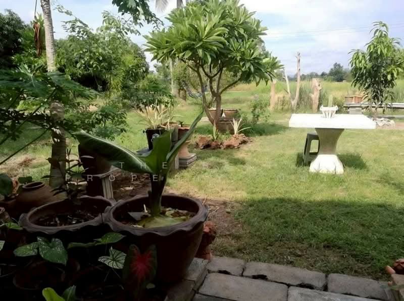 ที่ดินมะขามสูง พิษณุโลก, Phitsanulok, Makham Sung, Muang Phitsanulok, Phitsanulok, , 10,404 sqm, Land For Sale, by The Best Property ณิชา, 500376660 - DDproperty.com
