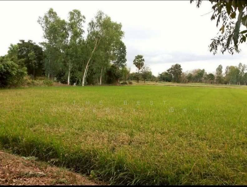 ที่ดินมะขามสูง พิษณุโลก, พิษณุโลก, มะขามสูง, เมืองพิษณุโลก, พิษณุโลก, 10,404 ตร.ม., ที่ดิน ขาย, โดย The Best Property ณิชา, 500376660 - DDproperty.com