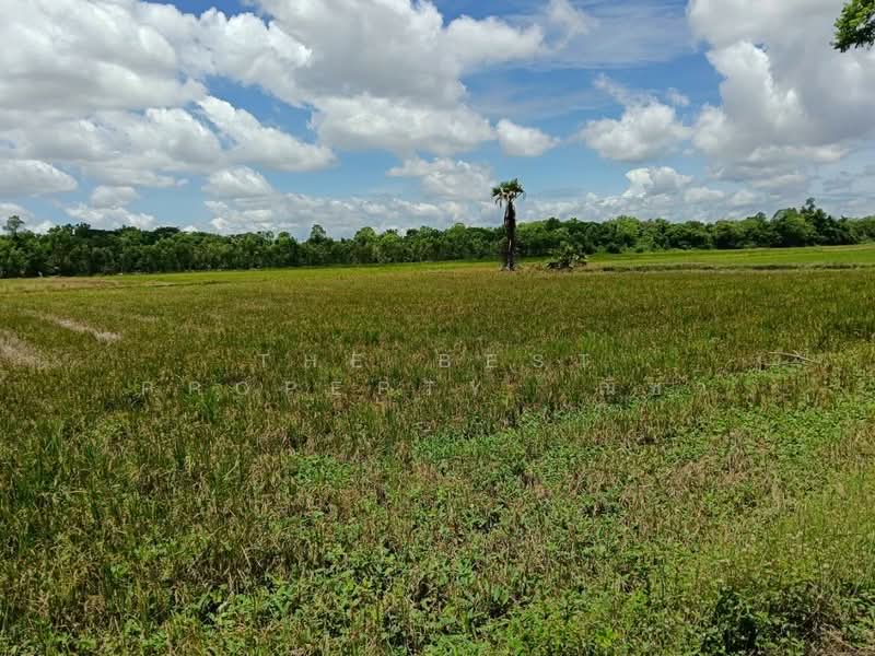 ที่ดินมะขามสูง พิษณุโลก, พิษณุโลก, มะขามสูง, เมืองพิษณุโลก, พิษณุโลก, 10,404 ตร.ม., ที่ดิน ขาย, โดย The Best Property ณิชา, 500376660 - DDproperty.com
