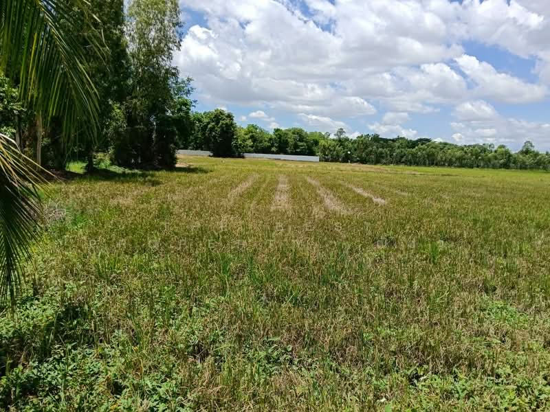 ที่ดินมะขามสูง พิษณุโลก, Phitsanulok, Makham Sung, Muang Phitsanulok, Phitsanulok, , 10,404 sqm, Land For Sale, by The Best Property ณิชา, 500376660 - DDproperty.com