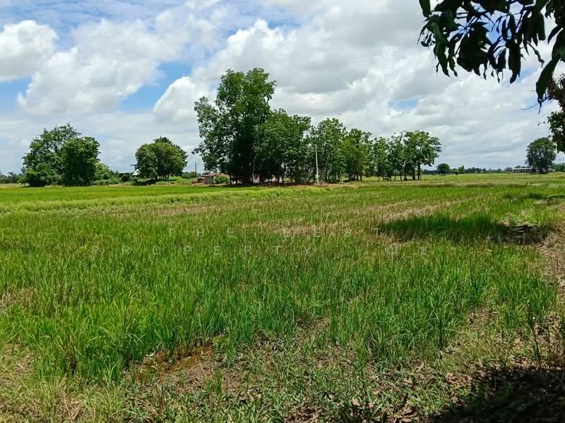 ที่ดินมะขามสูง พิษณุโลก, Phitsanulok, Makham Sung, Muang Phitsanulok, Phitsanulok, , 10,404 sqm, Land For Sale, by The Best Property ณิชา, 500376660 - DDproperty.com