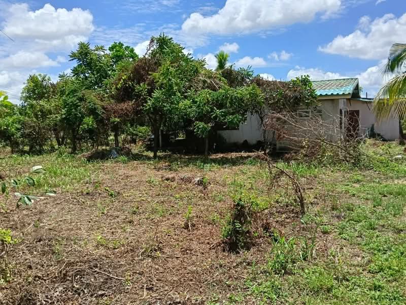 ที่ดินมะขามสูง พิษณุโลก, Phitsanulok, Makham Sung, Muang Phitsanulok, Phitsanulok, , 10,404 sqm, Land For Sale, by The Best Property ณิชา, 500376660 - DDproperty.com