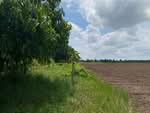 ที่ดินชุมพวง นครราชสีมา, นครราชสีมา