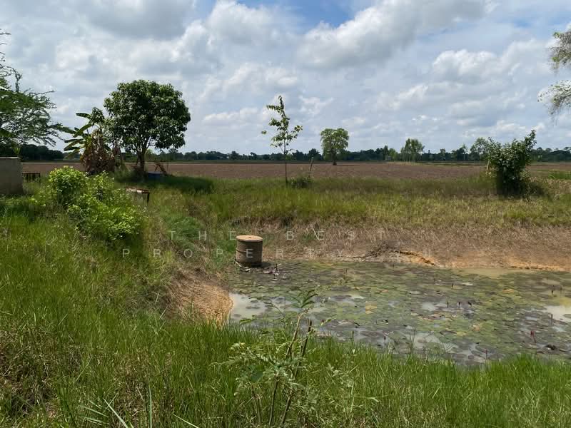 ที่ดินชุมพวง นครราชสีมา, Nakhon Ratchasima, Chum Phuang, Nakhon Ratchasima, , 23,164 sqm, Land For Sale, by The Best Property จุ๋ม, 500376687 - DDproperty.com