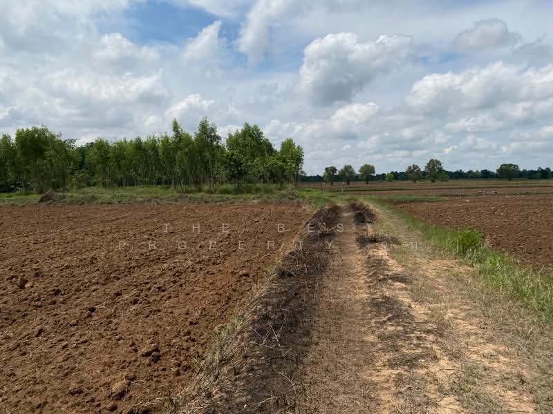 ที่ดินชุมพวง นครราชสีมา, Nakhon Ratchasima, Chum Phuang, Nakhon Ratchasima, , 23,164 sqm, Land For Sale, by The Best Property จุ๋ม, 500376687 - DDproperty.com