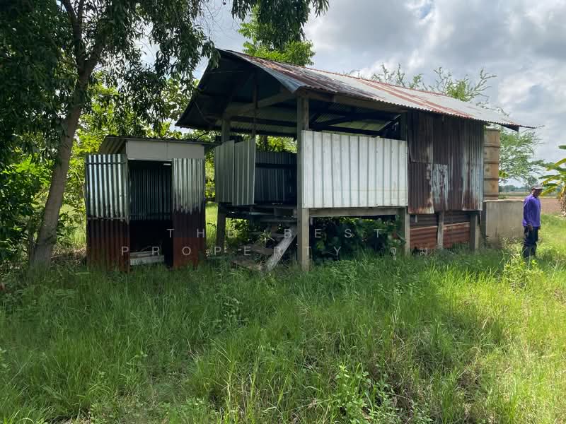 ที่ดินชุมพวง นครราชสีมา, Nakhon Ratchasima, Chum Phuang, Nakhon Ratchasima, , 23,164 sqm, Land For Sale, by The Best Property จุ๋ม, 500376687 - DDproperty.com