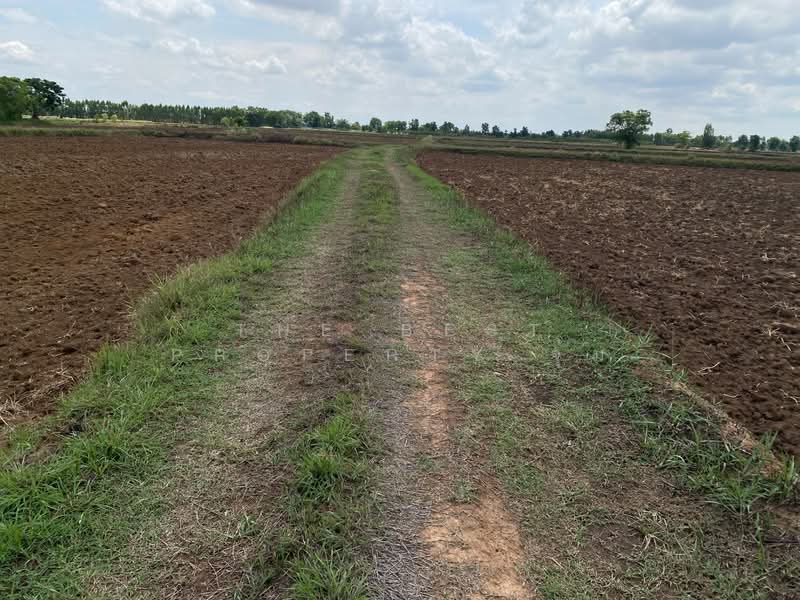 ที่ดินชุมพวง นครราชสีมา, Nakhon Ratchasima, Chum Phuang, Nakhon Ratchasima, , 23,164 sqm, Land For Sale, by The Best Property จุ๋ม, 500376687 - DDproperty.com