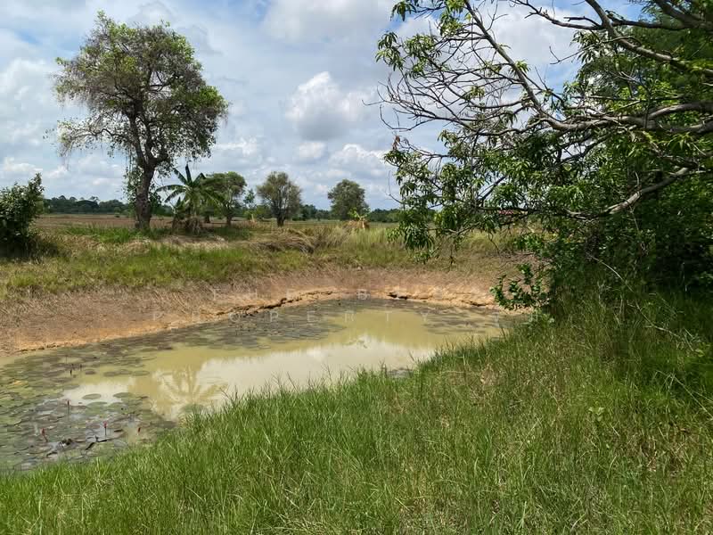 ที่ดินชุมพวง นครราชสีมา, Nakhon Ratchasima, Chum Phuang, Nakhon Ratchasima, , 23,164 sqm, Land For Sale, by The Best Property จุ๋ม, 500376687 - DDproperty.com