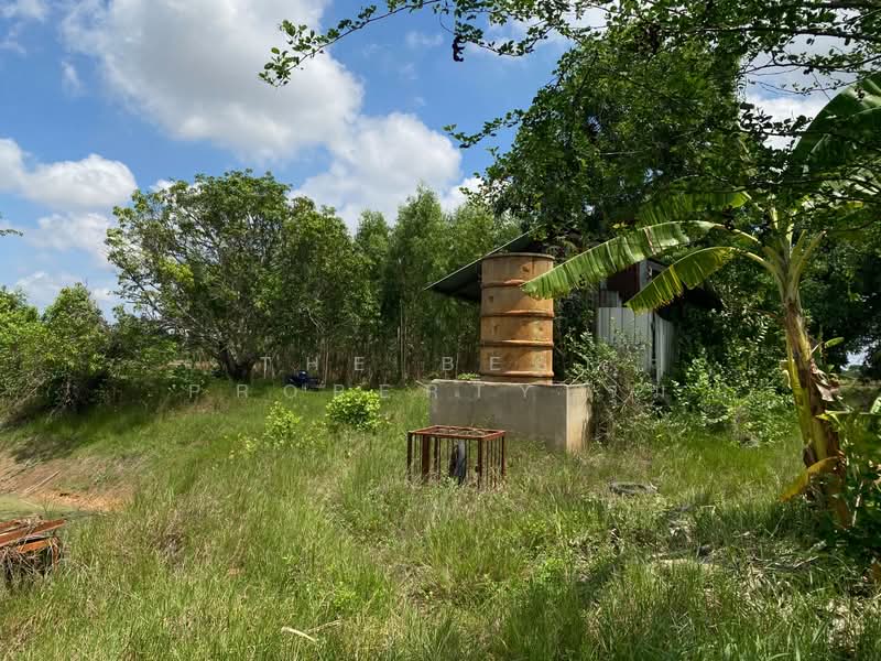 ที่ดินชุมพวง นครราชสีมา, Nakhon Ratchasima, Chum Phuang, Nakhon Ratchasima, , 23,164 sqm, Land For Sale, by The Best Property จุ๋ม, 500376687 - DDproperty.com