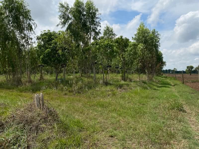ที่ดินชุมพวง นครราชสีมา, Nakhon Ratchasima, Chum Phuang, Nakhon Ratchasima, , 23,164 sqm, Land For Sale, by The Best Property จุ๋ม, 500376687 - DDproperty.com