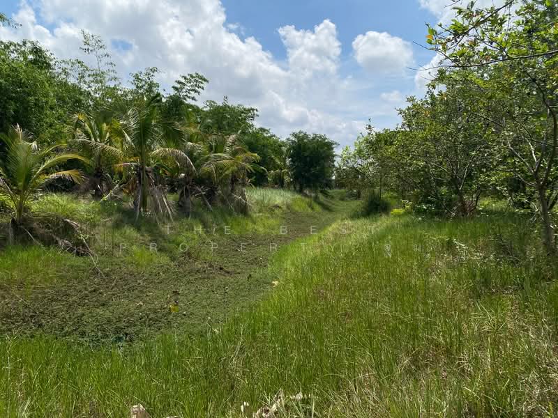 ที่ดินชุมพวง นครราชสีมา, Nakhon Ratchasima, Chum Phuang, Nakhon Ratchasima, , 23,164 sqm, Land For Sale, by The Best Property จุ๋ม, 500376687 - DDproperty.com