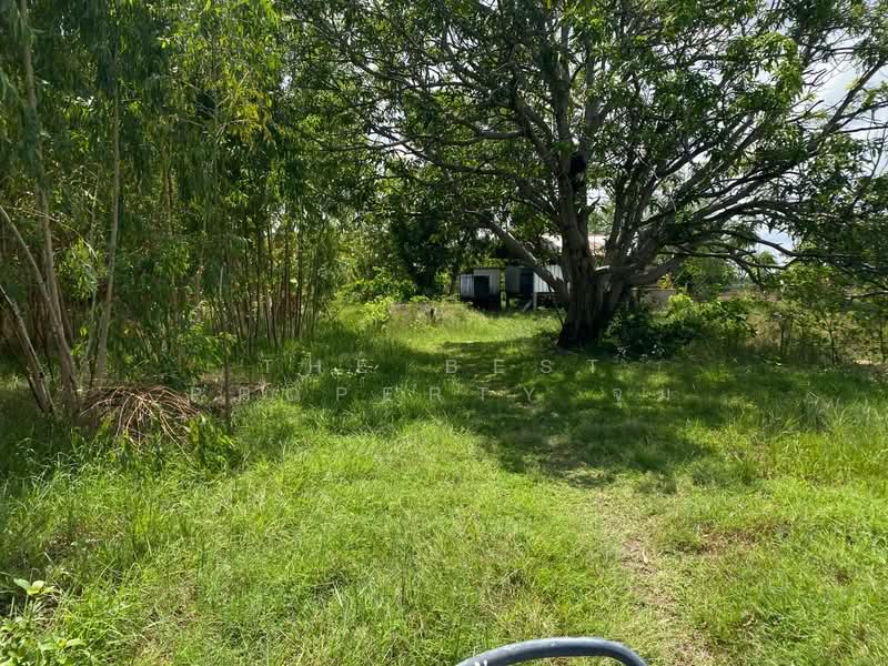 ที่ดินชุมพวง นครราชสีมา, Nakhon Ratchasima, Chum Phuang, Nakhon Ratchasima, , 23,164 sqm, Land For Sale, by The Best Property จุ๋ม, 500376687 - DDproperty.com