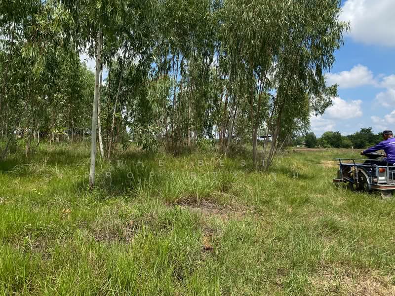ที่ดินชุมพวง นครราชสีมา, Nakhon Ratchasima, Chum Phuang, Nakhon Ratchasima, , 23,164 sqm, Land For Sale, by The Best Property จุ๋ม, 500376687 - DDproperty.com