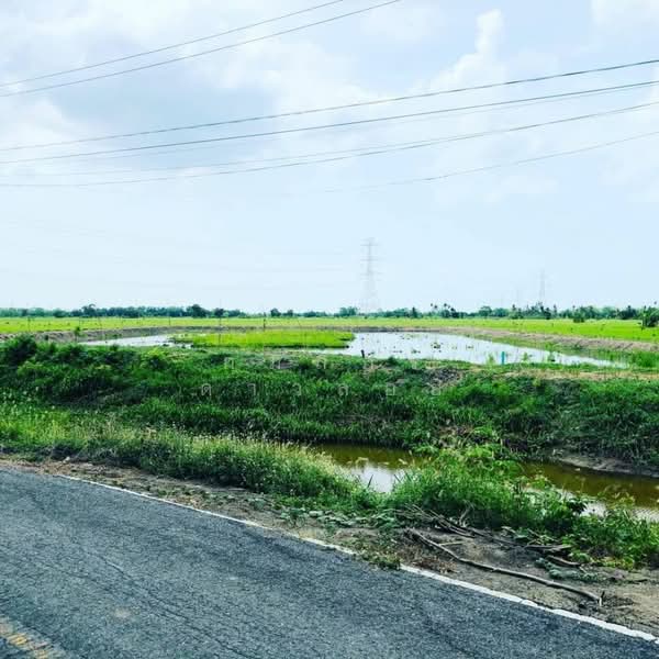 ที่ดินหนองจอก มิตรไมตรีซอย6 มีนบุรี, กรุงเทพ, หนองจอก, กรุงเทพ, 6,704 ตร.ม., ที่ดิน ขาย, โดย กมลกร ดาวลอย, 500376856 - DDproperty.com