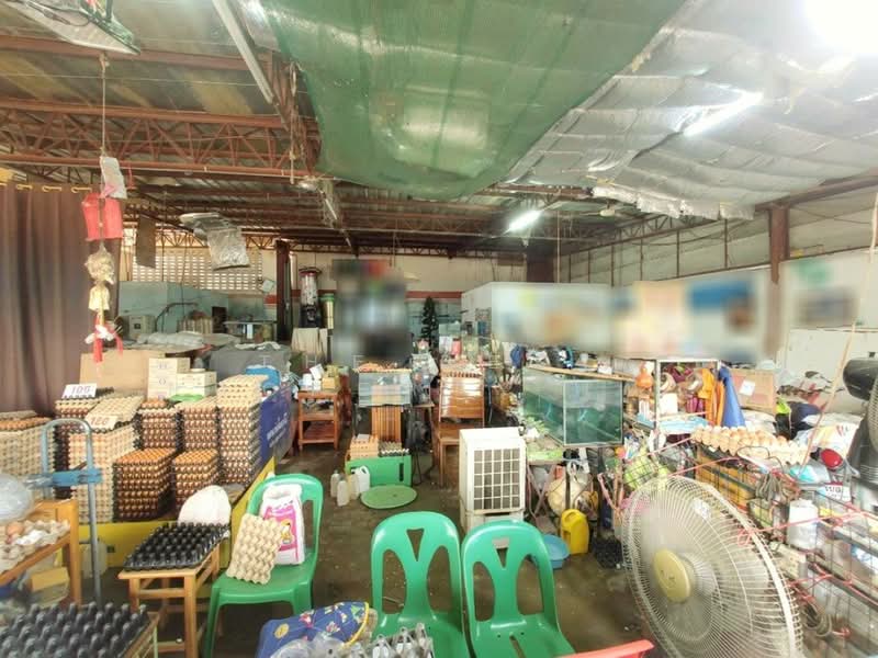 ห้องแถวโพนพิสัย หนองคาย, Nong Khai, Chum Phon, Phon Phisai, Nong Khai, , 150 sqm, Business For Sale, by The Best Property เป้า, 500376872 - DDproperty.com