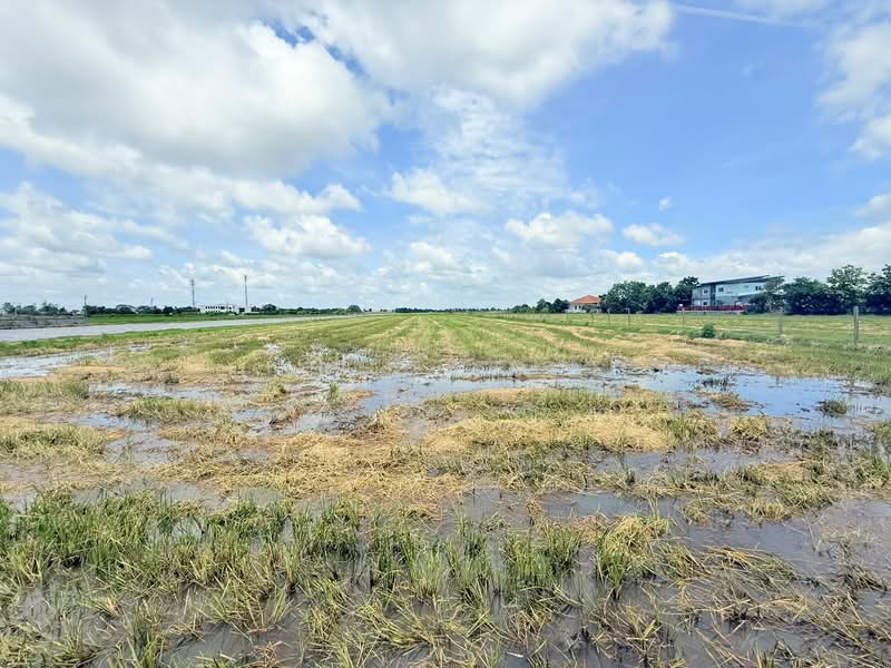 ที่ดินหนองจอก กรุงเทพมหานคร, Bangkok, Krathum Rai, Nong Chok, Bangkok, , 38,420 sqm, Land For Sale, by The Best Property เมญ่า, 500376954 - DDproperty.com