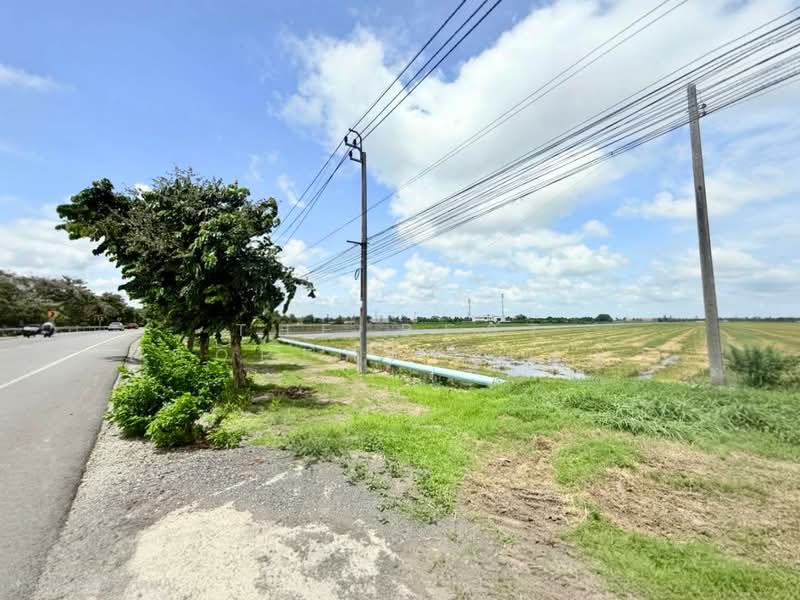 ที่ดินหนองจอก กรุงเทพมหานคร, Bangkok, Krathum Rai, Nong Chok, Bangkok, , 38,420 sqm, Land For Sale, by The Best Property เมญ่า, 500376954 - DDproperty.com