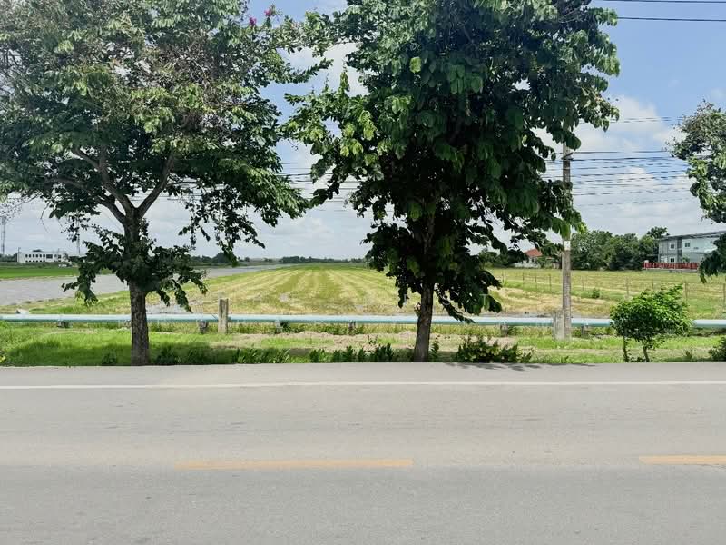ที่ดินหนองจอก กรุงเทพมหานคร, กรุงเทพ, กระทุ่มราย, หนองจอก, กรุงเทพ, 38,420 ตร.ม., ที่ดิน ขาย, โดย The Best Property เมญ่า, 500376954 - DDproperty.com