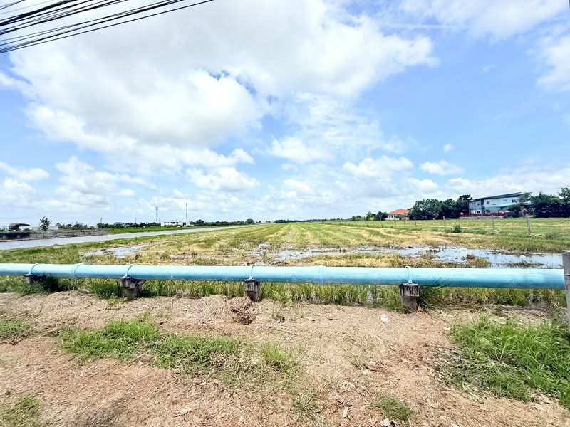ที่ดินหนองจอก กรุงเทพมหานคร, Bangkok, Krathum Rai, Nong Chok, Bangkok, , 38,420 sqm, Land For Sale, by The Best Property เมญ่า, 500376954 - DDproperty.com