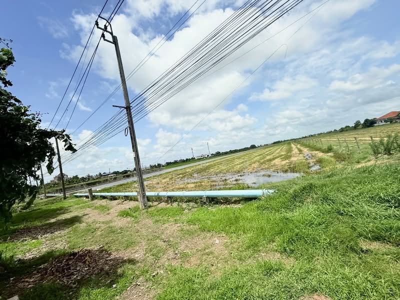 ที่ดินหนองจอก กรุงเทพมหานคร, Bangkok, Krathum Rai, Nong Chok, Bangkok, , 38,420 sqm, Land For Sale, by The Best Property เมญ่า, 500376954 - DDproperty.com